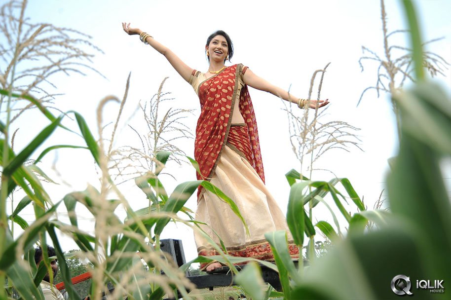 Nenem Chinna Pillana